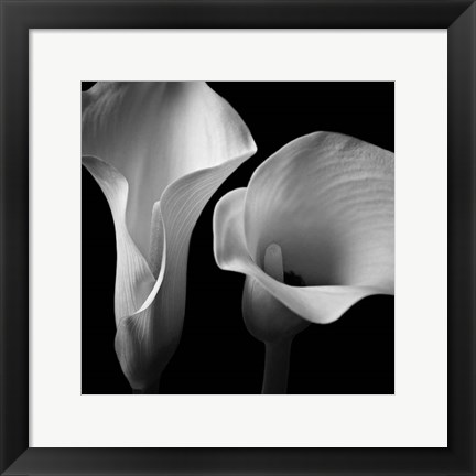 Framed Softness II Print