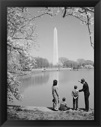 Framed Family At Washington Monument Amid Cherry Blossoms Print