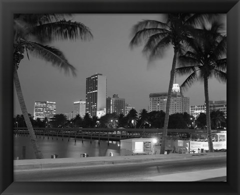 Framed Night View Skyline With Palm Trees Miami Florida Print