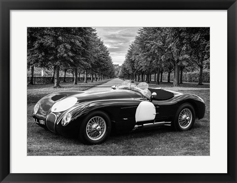 Framed Vintage Roadster in a Park Print