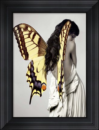 Framed Winged Beauty #3 Print