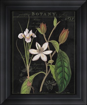 Framed Vintage White Flora III Print