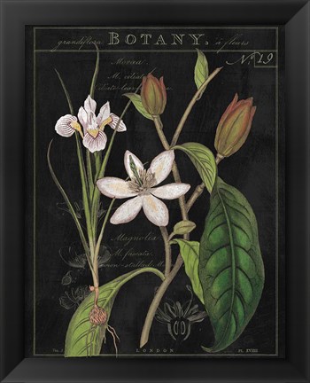 Framed Vintage White Flora III Print