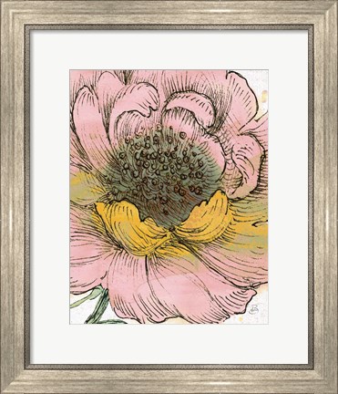 Framed Blossom Sketches III Pink Crop Print
