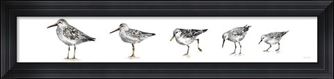 Framed Pebbles and Sandpipers IX Gray No Words Border Print