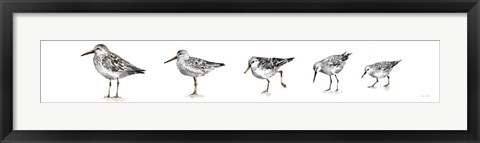 Framed Pebbles and Sandpipers IX Gray No Words Border Print