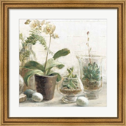 Framed Greenhouse Orchids on Shiplap III Print