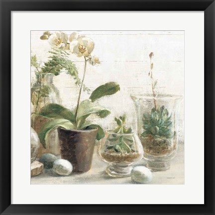 Framed Greenhouse Orchids on Shiplap III Print