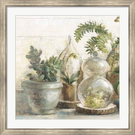 Framed Greenhouse Orchids on Shiplap II Print