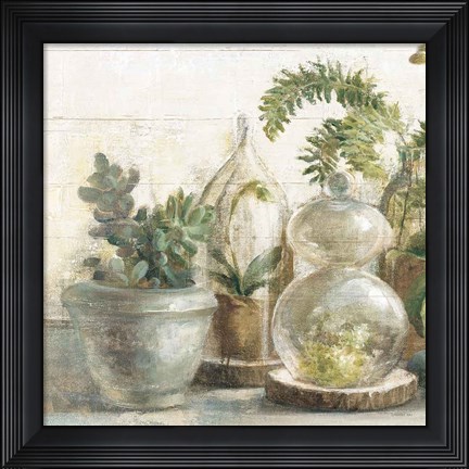 Framed Greenhouse Orchids on Shiplap II Print