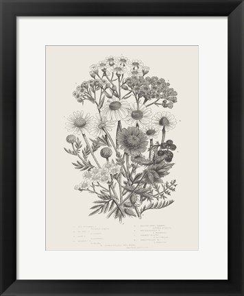 Framed Flowering Plants V Neutral Print