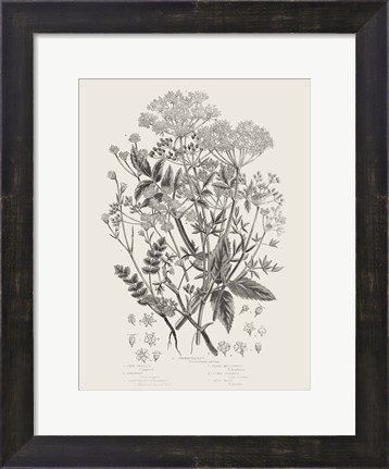 Framed Flowering Plants I Neutral Print