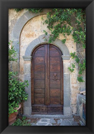 Framed Venice Doorway Print