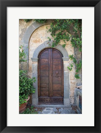 Framed Venice Doorway Print