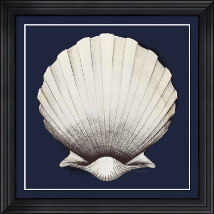 Framed Coastal Shell II with Border Navy Print