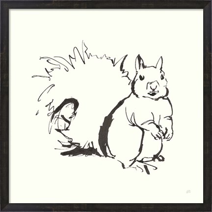 Framed Line Squirrel Print