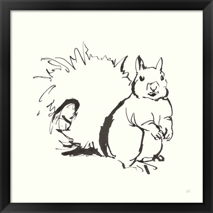 Framed Line Squirrel Print