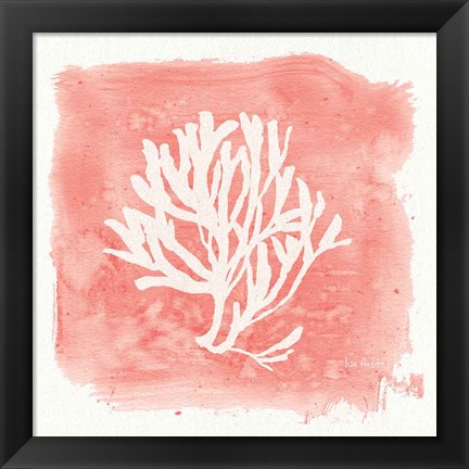 Framed Water Coral Cove III Print