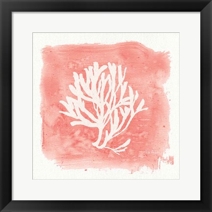 Framed Water Coral Cove III Print