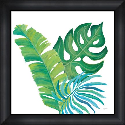 Framed Coconut Palm VII Print
