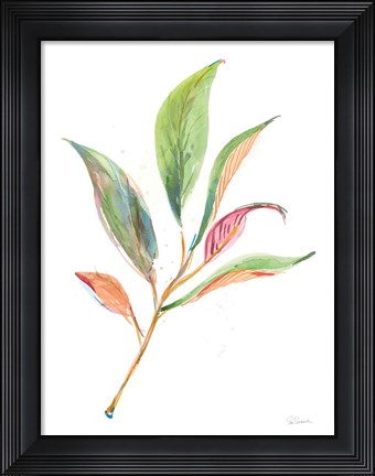 Framed Washy Leaves II Print