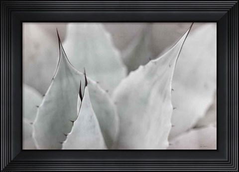 Framed Dream Desert VI BWC Print