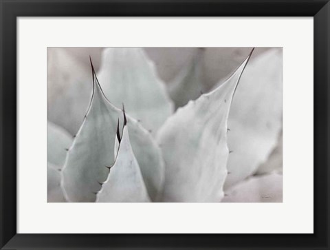 Framed Dream Desert VI BWC Print