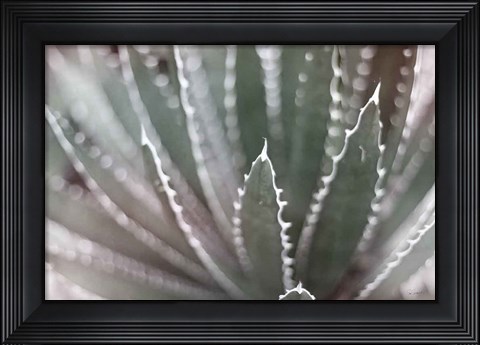 Framed Dream Desert II BWC Print