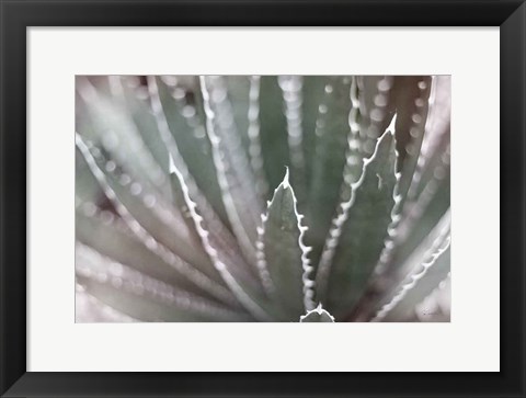 Framed Dream Desert II BWC Print