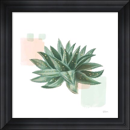 Framed Desert Color Succulent II Mint Print