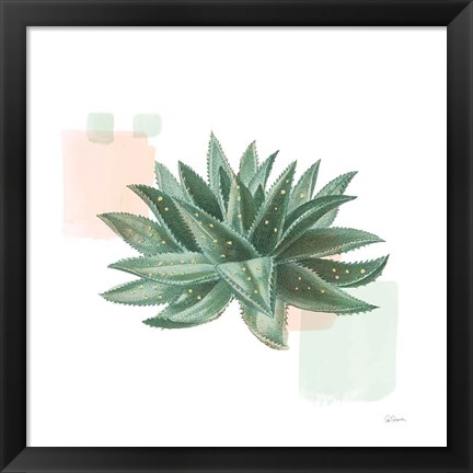 Framed Desert Color Succulent II Mint Print