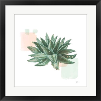 Framed Desert Color Succulent II Mint Print