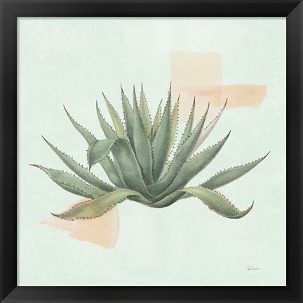 Framed Desert Color Succulent I Mint Print