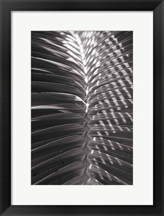 Framed Palm Detail I BW Print