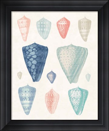 Framed Colorful Shell Assortment II Coral Cove Print