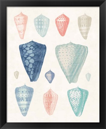 Framed Colorful Shell Assortment II Coral Cove Print