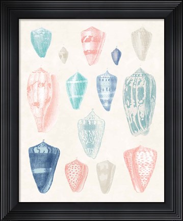Framed Colorful Shell Assortment I Coral Cove Print