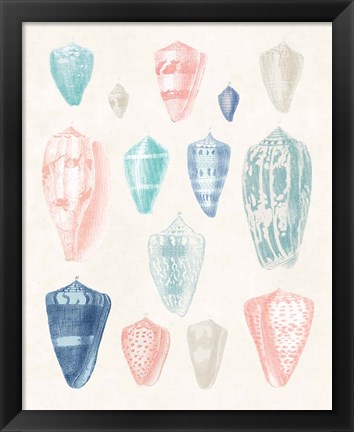 Framed Colorful Shell Assortment I Coral Cove Print