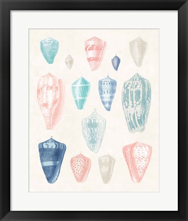 Framed Colorful Shell Assortment I Coral Cove Print