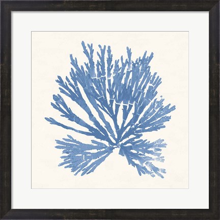 Framed Pacific Sea Mosses II Light Blue Print