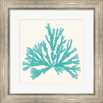 Framed Pacific Sea Mosses IV Aqua Print