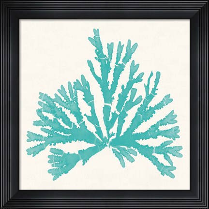Framed Pacific Sea Mosses IV Aqua Print