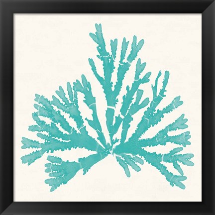 Framed Pacific Sea Mosses IV Aqua Print