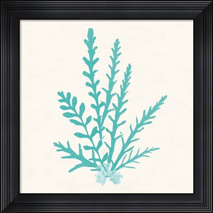 Framed Pacific Sea Mosses III Aqua Print