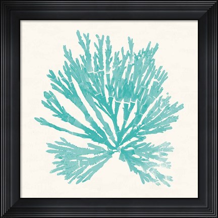 Framed Pacific Sea Mosses II Aqua Print