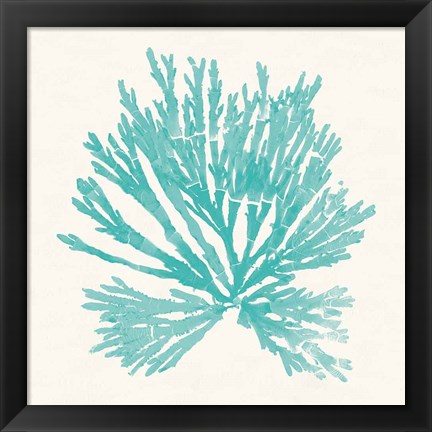 Framed Pacific Sea Mosses II Aqua Print