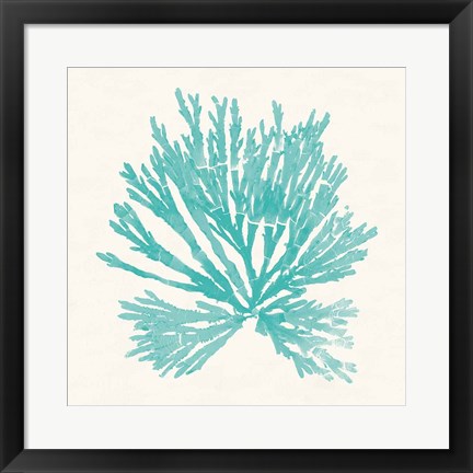 Framed Pacific Sea Mosses II Aqua Print