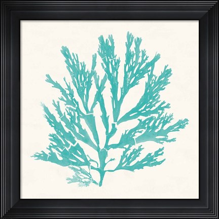 Framed Pacific Sea Mosses I Aqua Print