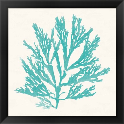 Framed Pacific Sea Mosses I Aqua Print