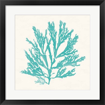 Framed Pacific Sea Mosses I Aqua Print